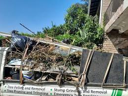 Best Basement Cleanout  in Rushville, IN
